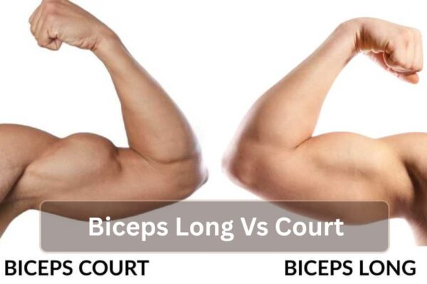 Biceps Long Vs Court