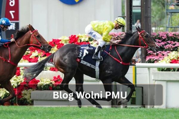 Blog Wolni PMU