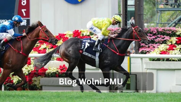 Blog Wolni PMU
