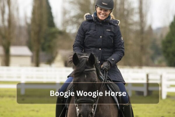Boogie Woogie Horse: Everything You Need to Know Boogie Woogie Horse