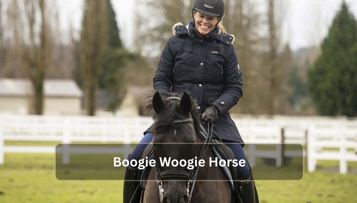 Boogie Woogie Horse