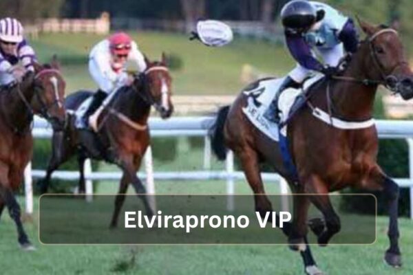 Elviraprono VIP