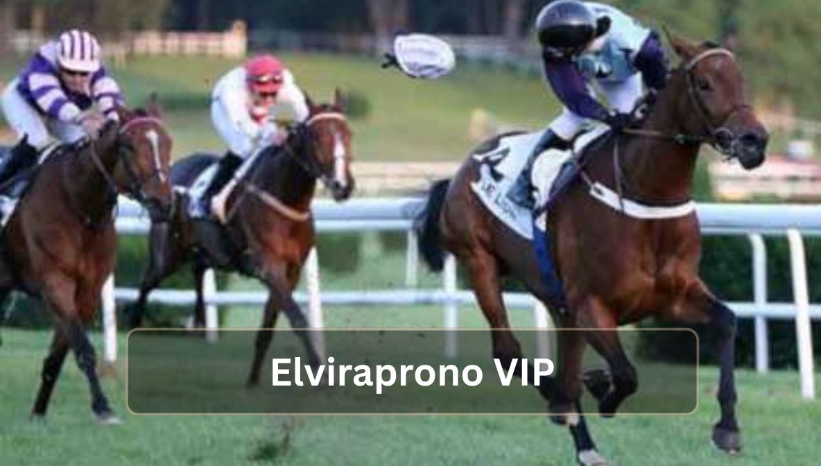 Elviraprono VIP