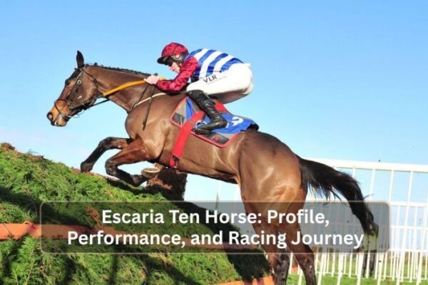 Escaria Ten Horse