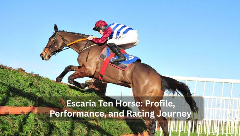 Escaria Ten Horse
