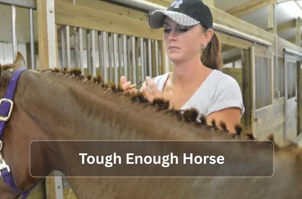 Tough Enough Horse