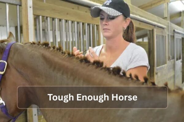 Tough Enough Horse