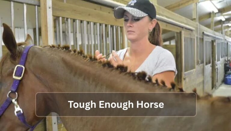 Tough Enough Horse