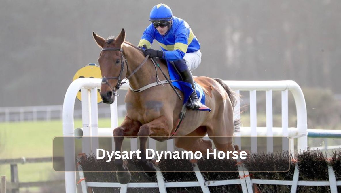 Dysart Dynamo Horse