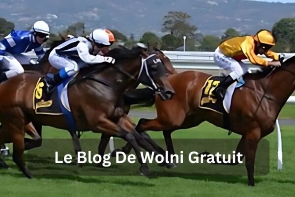 Le Blog De Wolni Gratuit