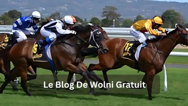 Le Blog De Wolni Gratuit