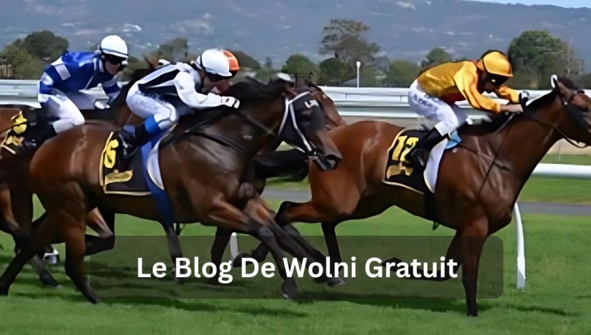 Le Blog De Wolni Gratuit