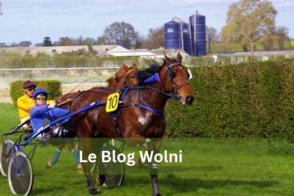 Le Blog Wolni
