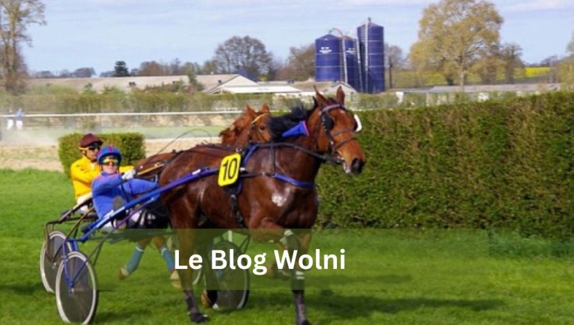 Le Blog Wolni