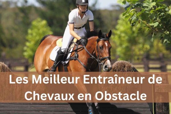 les meilleur entraîneur de chevaux en obstacle