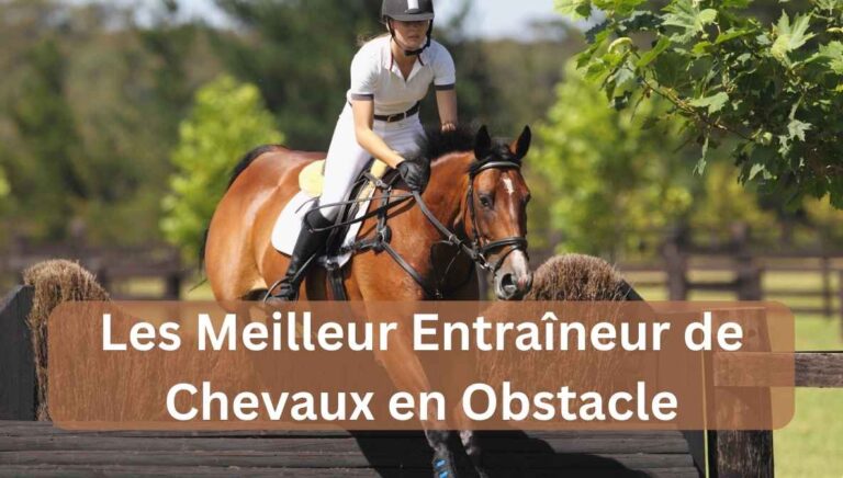 les meilleur entraîneur de chevaux en obstacle