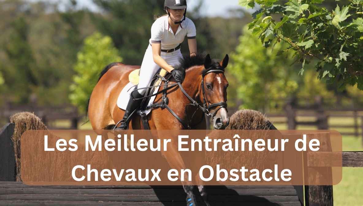 les meilleur entraîneur de chevaux en obstacle