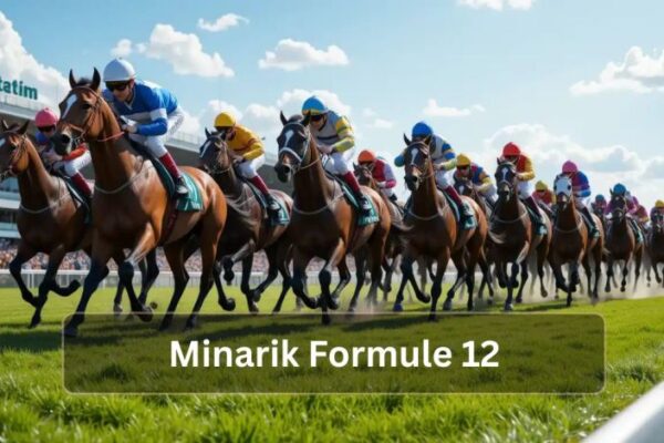 Minarik Formule 12