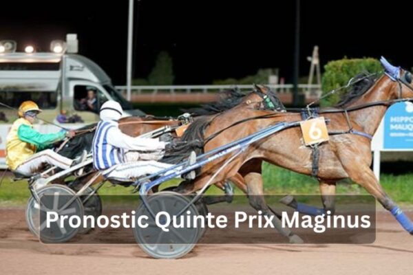 Pronostic Quinte Prix Maginus